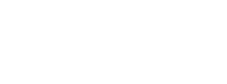 Wise Hustlers Logo